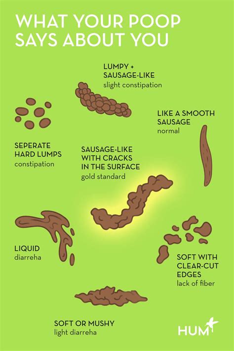 rate my poop|Unhealthy Stools Pictures: What Your Poop Says。